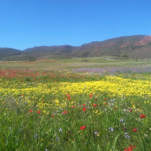 La Belleza De Rodalquilar Dış mekan fotoğraf